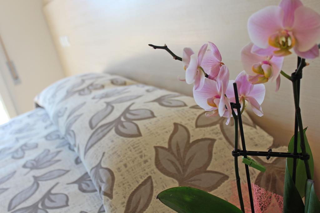 Hotel Silvia Misano Adriatico Εξωτερικό φωτογραφία